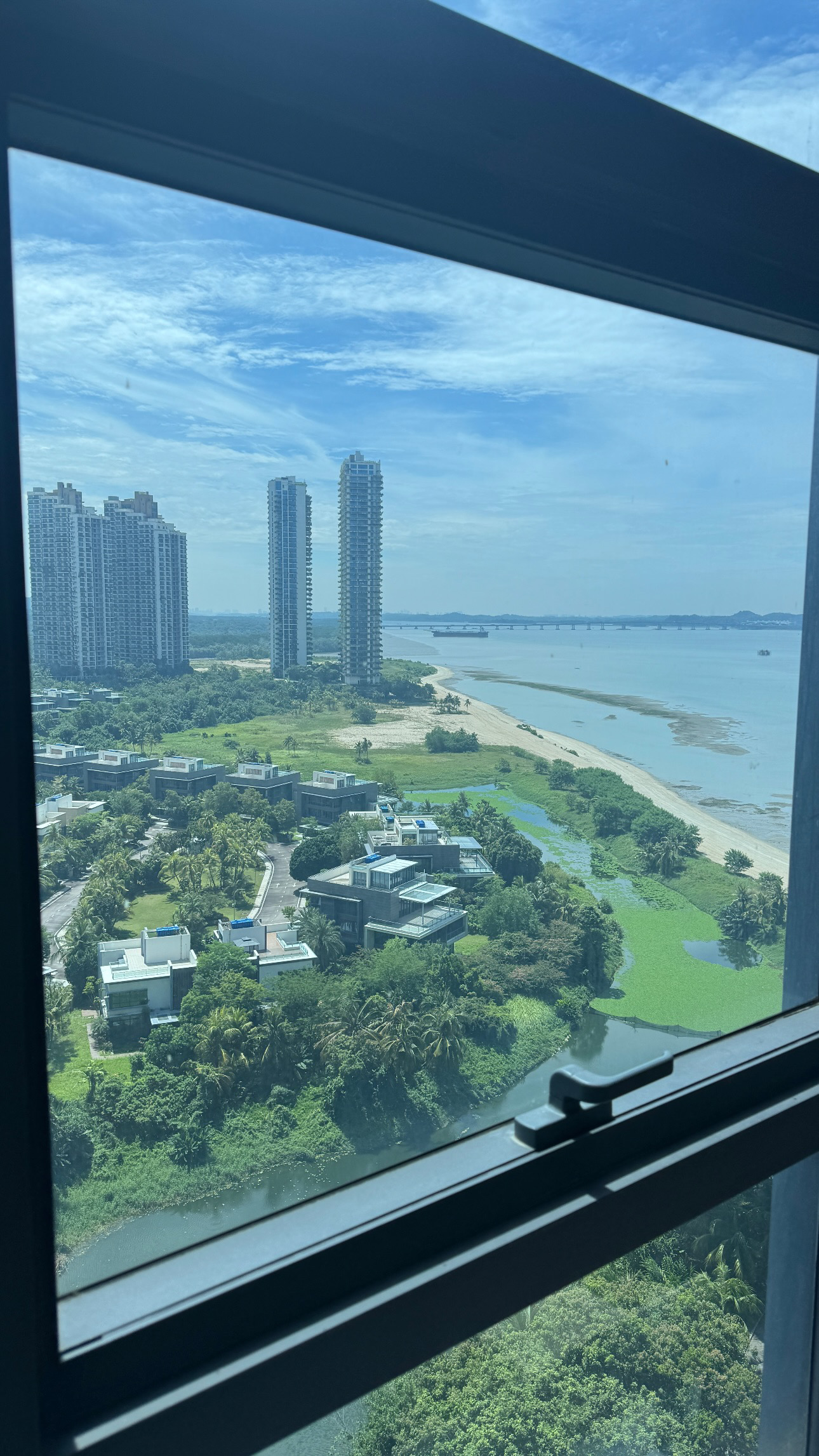 Forest City View