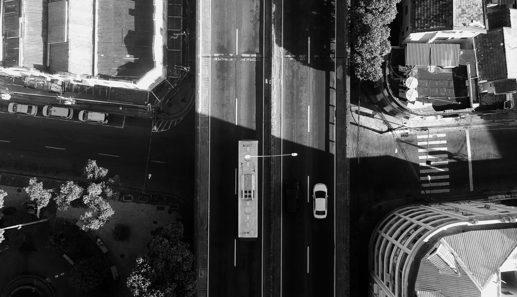 NOGENTA - ART IS A WEAPON