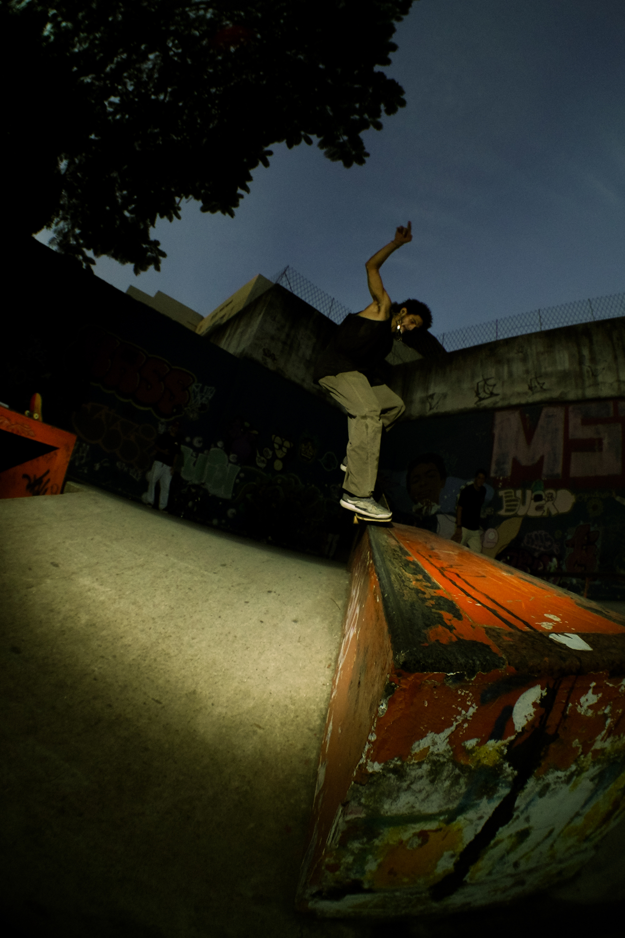 Nogenta Skate cine 3rd edtion