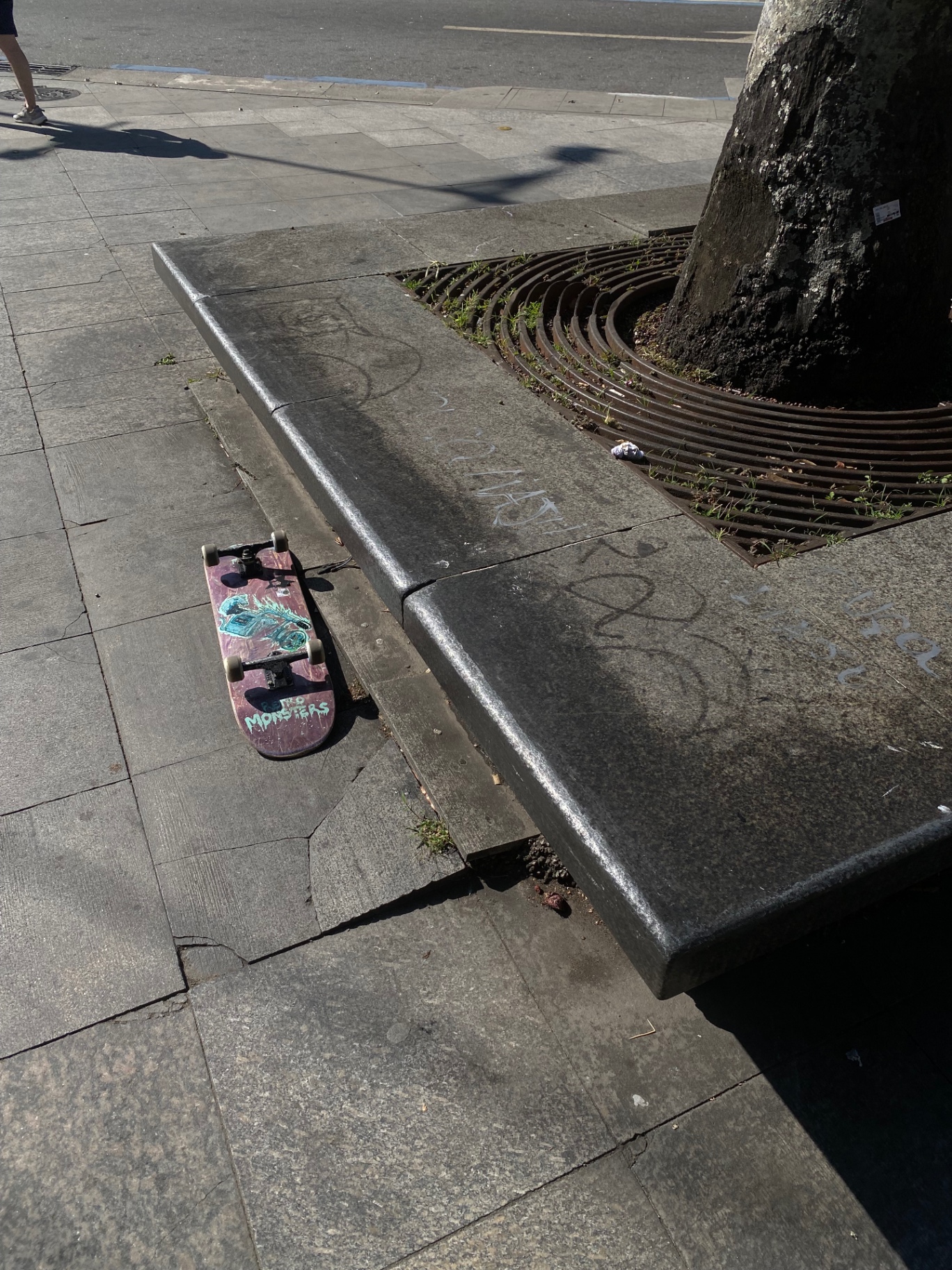 Registrando momentos 